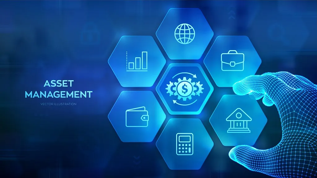 Asset Manager for financial service providers